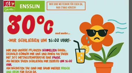 Crocus vernus Hitzefrei_2025_Webseite.jpg