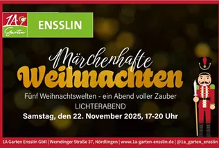 Hitzefrei_2025_Webseite.jpg Lichterabend_Zeitungsinserat-01.jpg