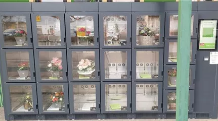 Blumenautomat.jpg Blumenautomat.jpg
