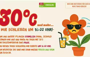 Hitzefrei_Fernseher.jpg Hitzefrei_Fernseher.jpg