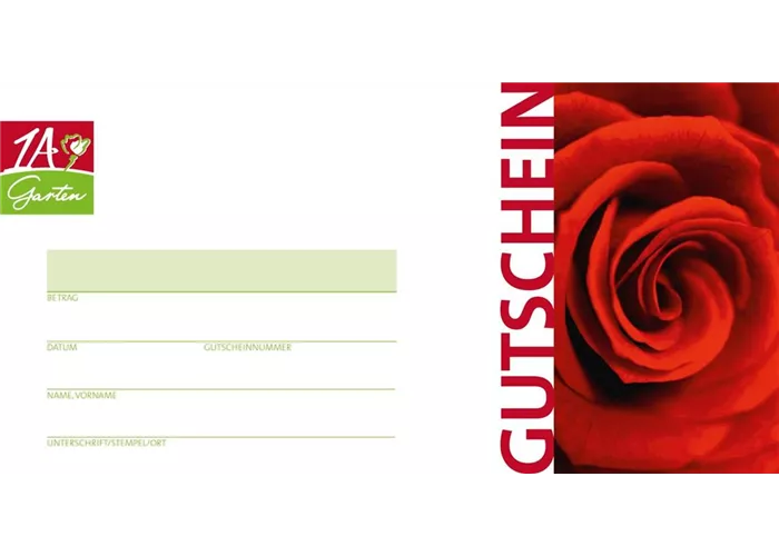 Gutschein Rote Rosen